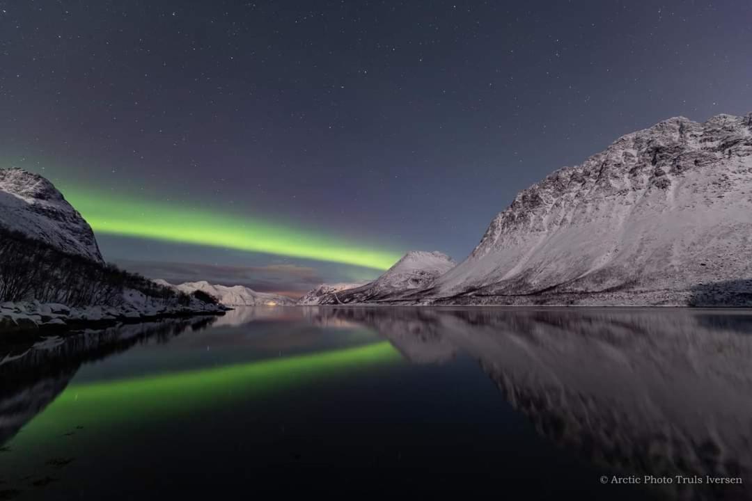 Sea & Mountain View Apartment Tromso Bagian luar foto